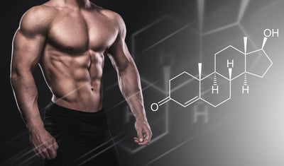 Unraveling the Science Behind Muscle Mass Gain and Physiology