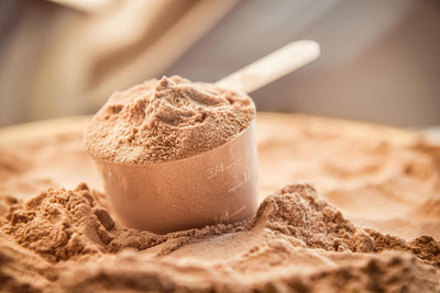 The Ultimate Protein Powder Guide - The Best Protein Powder for Men and Women
