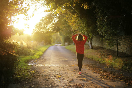 The Ultimate Guide to Boosting Your Immune System